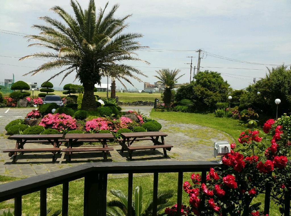 Jeju Again Olle Pension Dış mekan fotoğraf